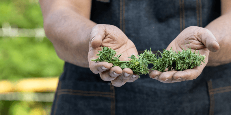 Smoakland Products