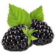 fruit icon