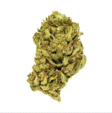 Xclusivez - Giorgia Pie (H) - 28g