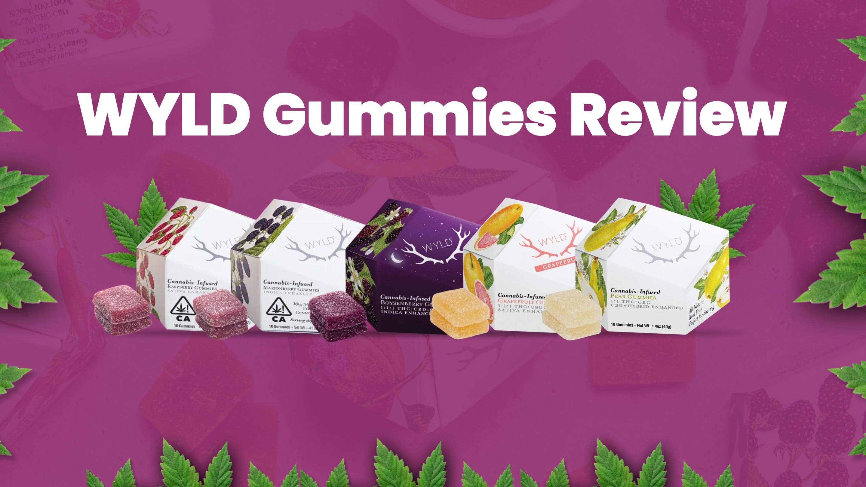 Why WYLD Gummies Are the Best Choice for Your Edible Experience