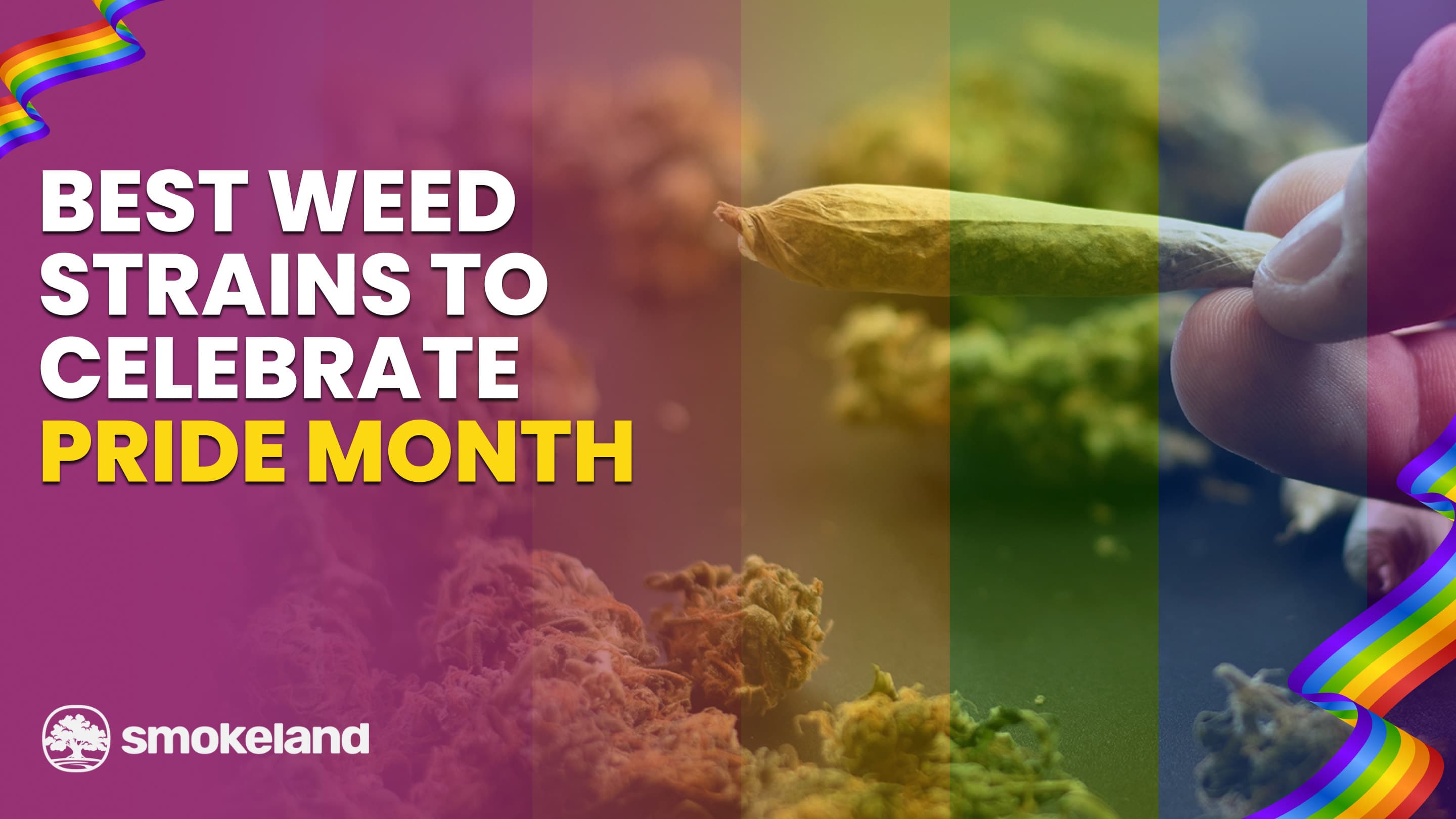 5 Best Weed Strains to Celebrate Pride Month