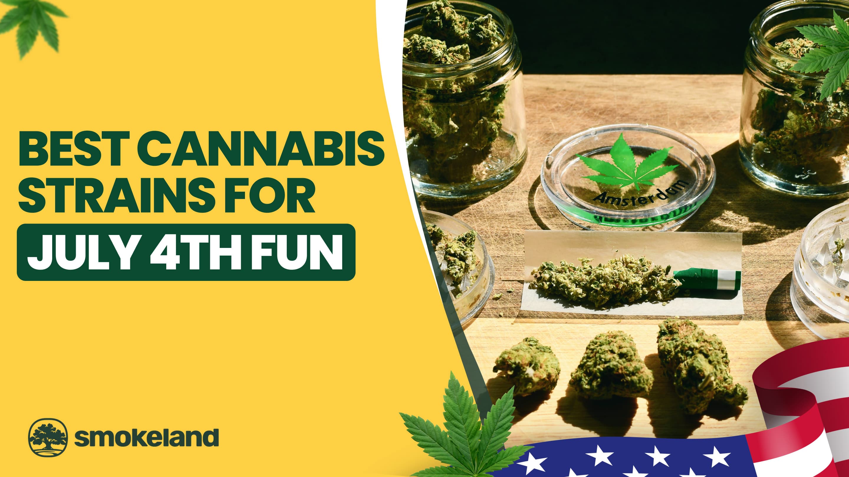  From Daytime BBQs to Nighttime Fireworks: Best Weed Strains for 4th of July 2025