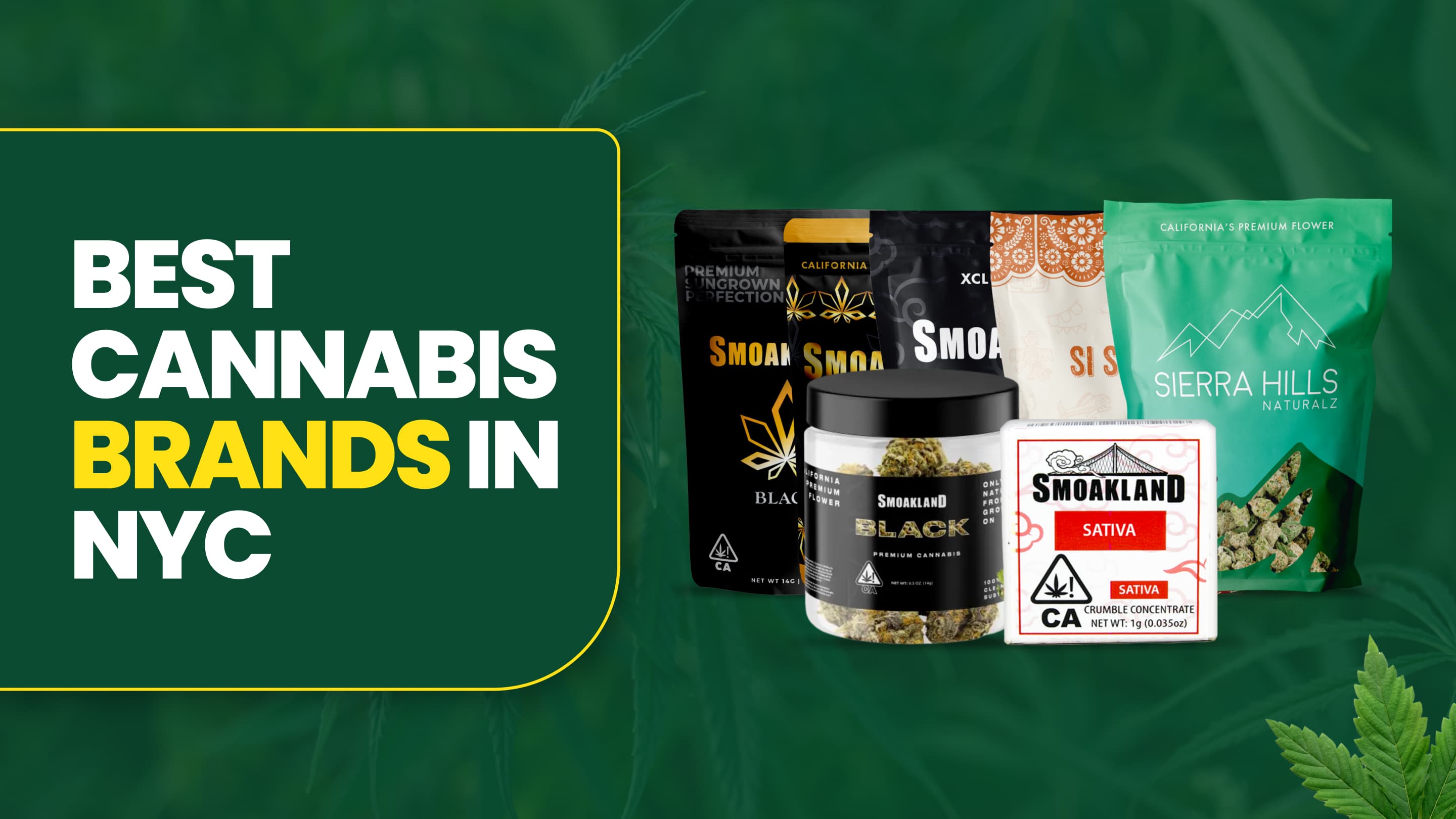 The Best Cannabis Brands in NYC for Every Budget