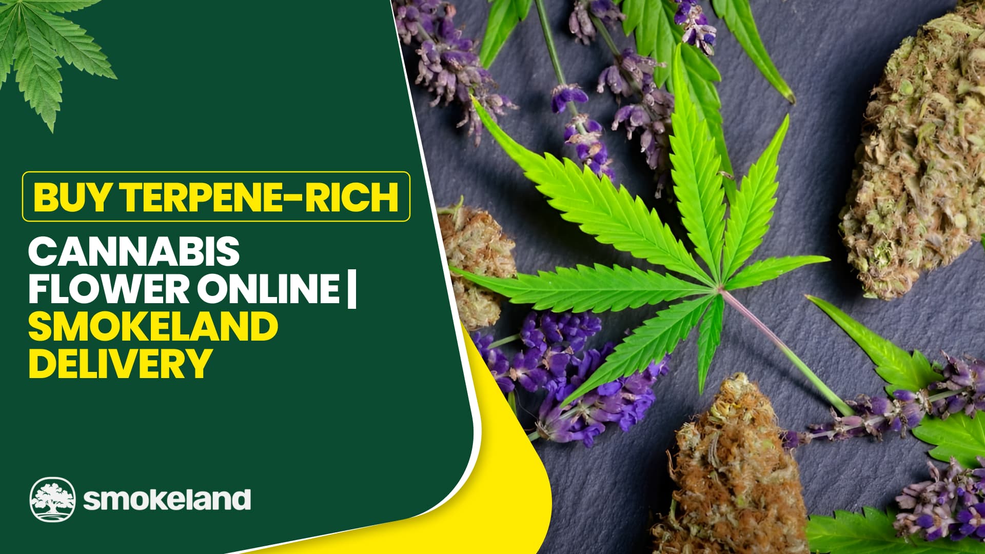 Buy Terpene-Rich Cannabis Flower Online | Smokeland Delivery