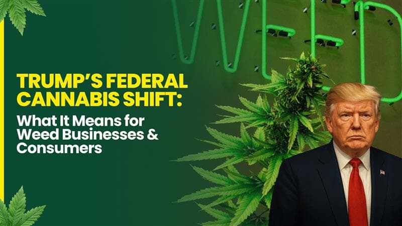 Trump’s Cannabis Policy Shift in 2025: What It Means for the Marijuana Industry