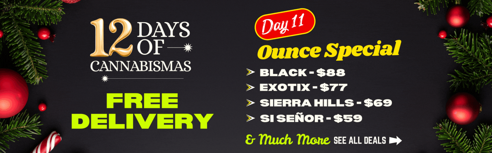 Banner cmj11e3cmcyp507lp7tzze6g4