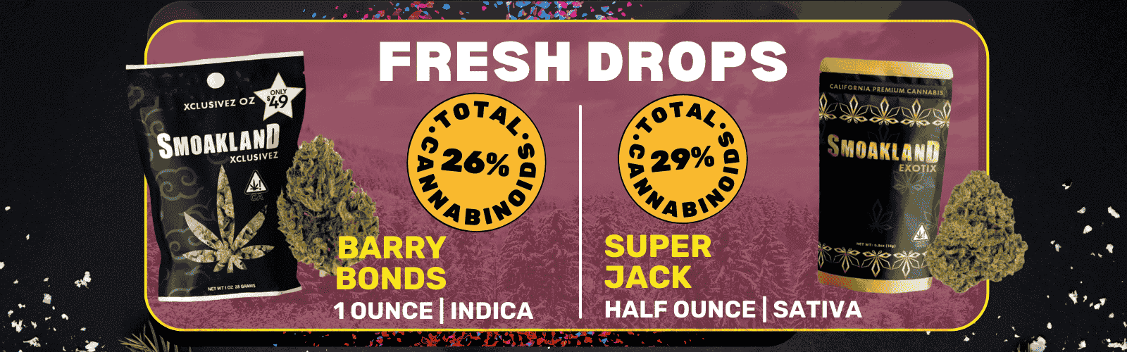 Banner cmjch8c4vsiei07mzvxicfifd