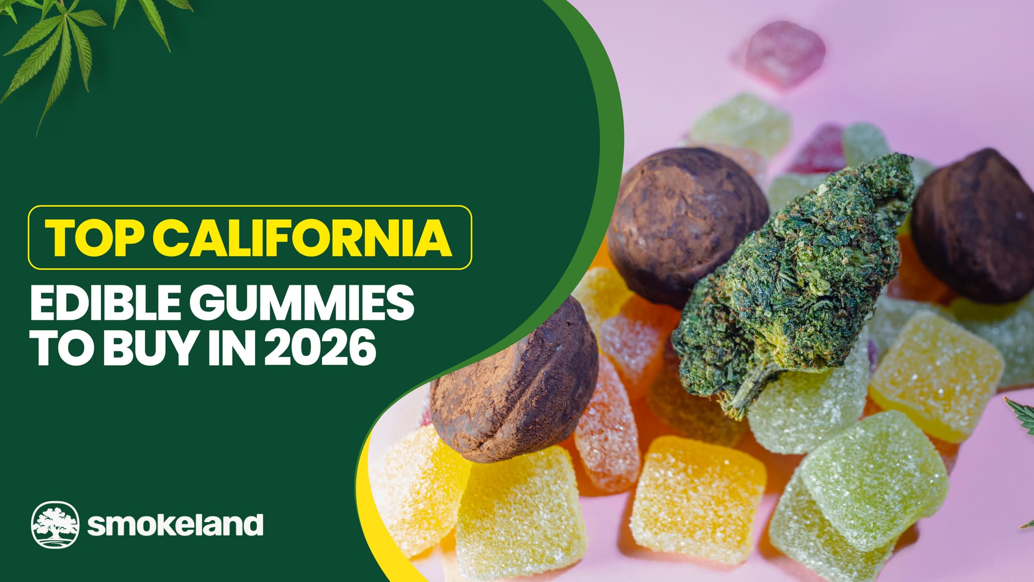 Top California Edible Gummies to Buy in 2026