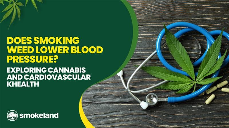 Does Smoking Weed Lower Blood Pressure? Exploring Cannabis and Cardiovascular Health