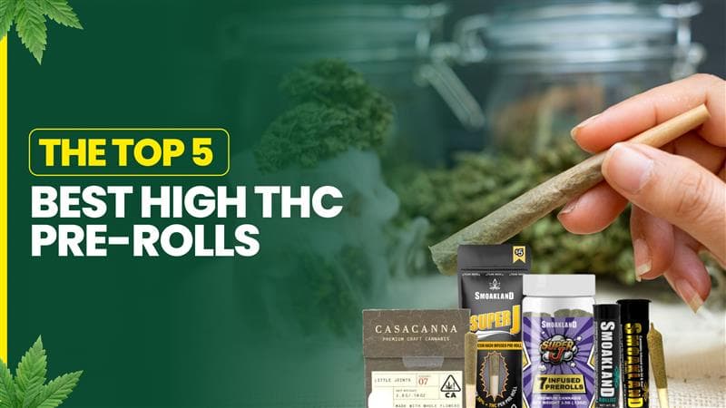 The Top 5 Best High THC Pre-Rolls