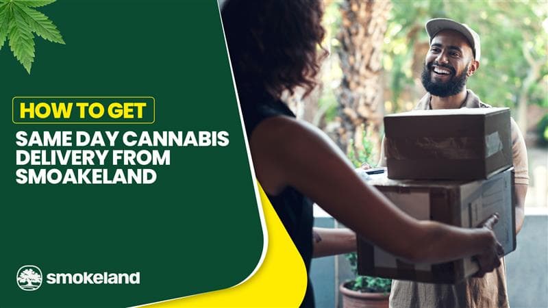 How to Get Same Day Cannabis Delivery from Smokeland