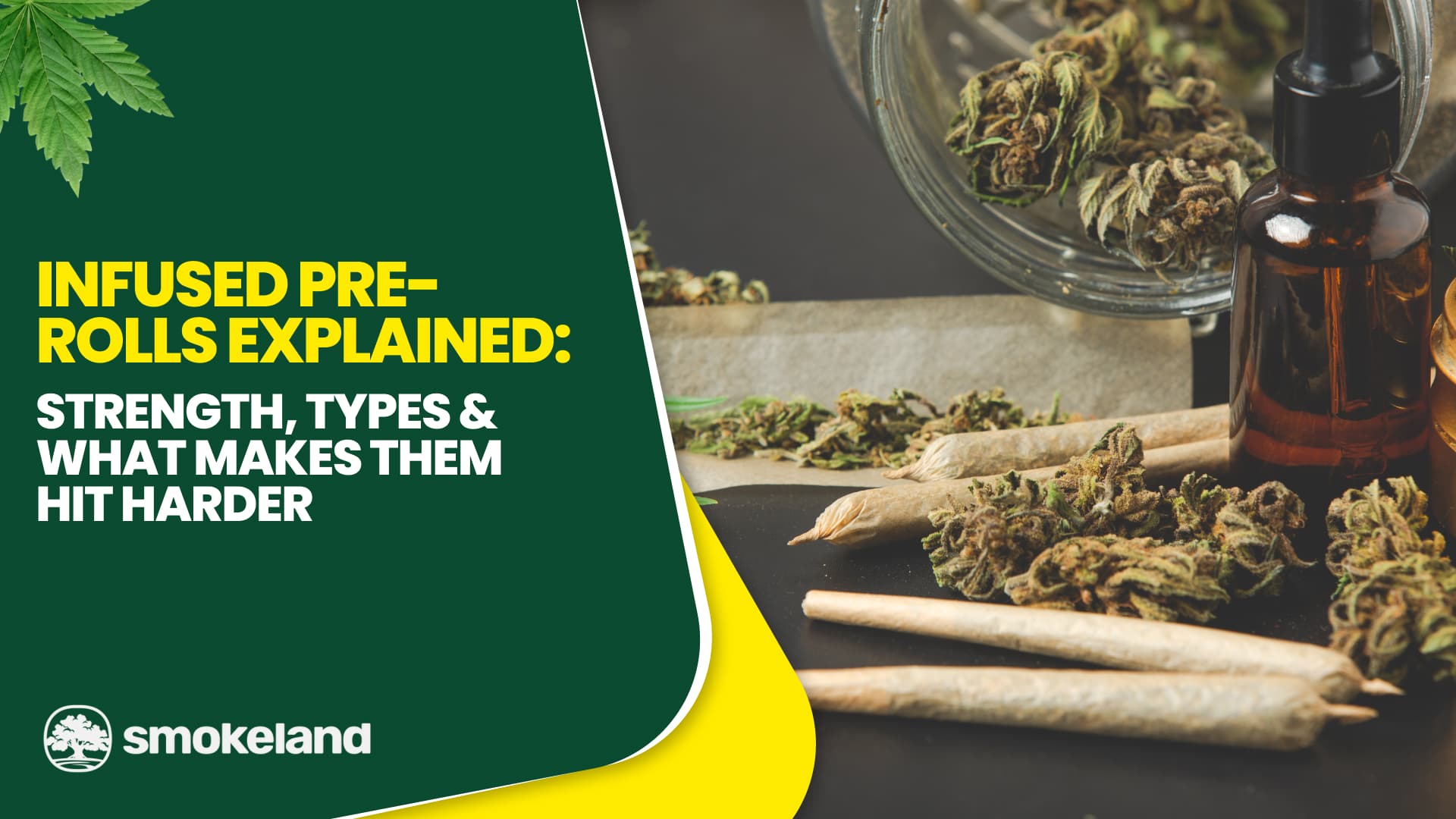 Infused Pre-Rolls Explained: Strength, Types & What Makes Them Hit Harder