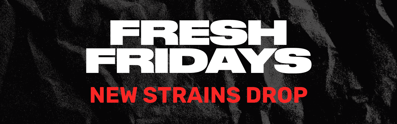 Banner cmjb2zz92wgl007mz2n9gbqgt