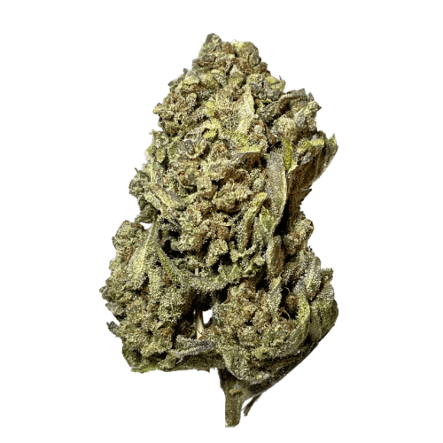Girl Scout Cookies