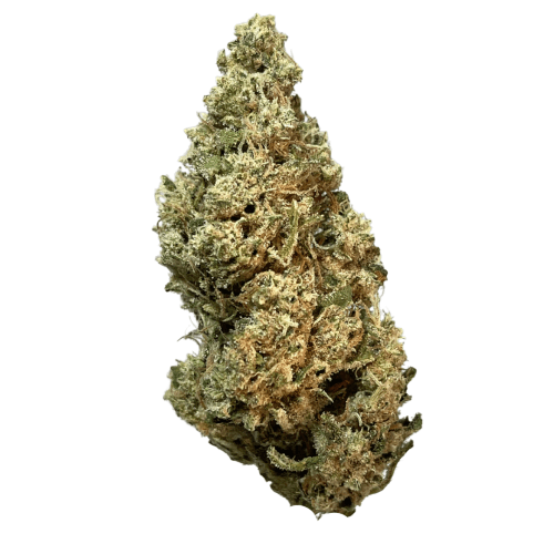 Jack the Ripper