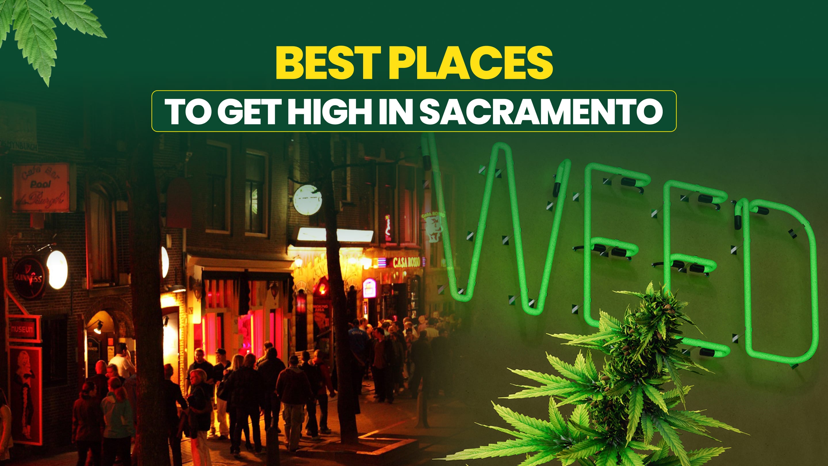 Best Places to Get High in Sacramento