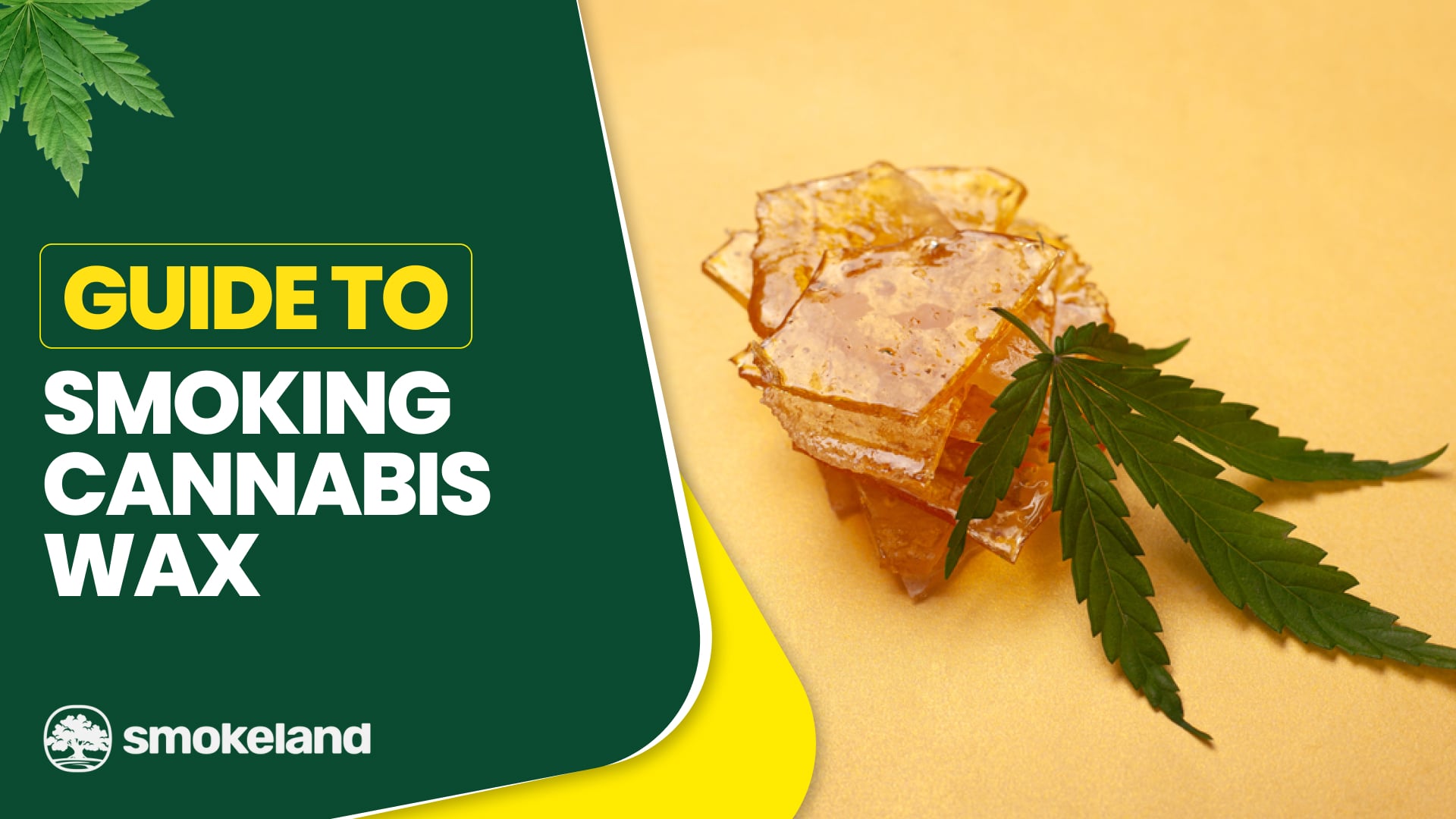 Beginner’s Guide to Smoking Cannabis Wax: Safe Methods, Tools & Tips