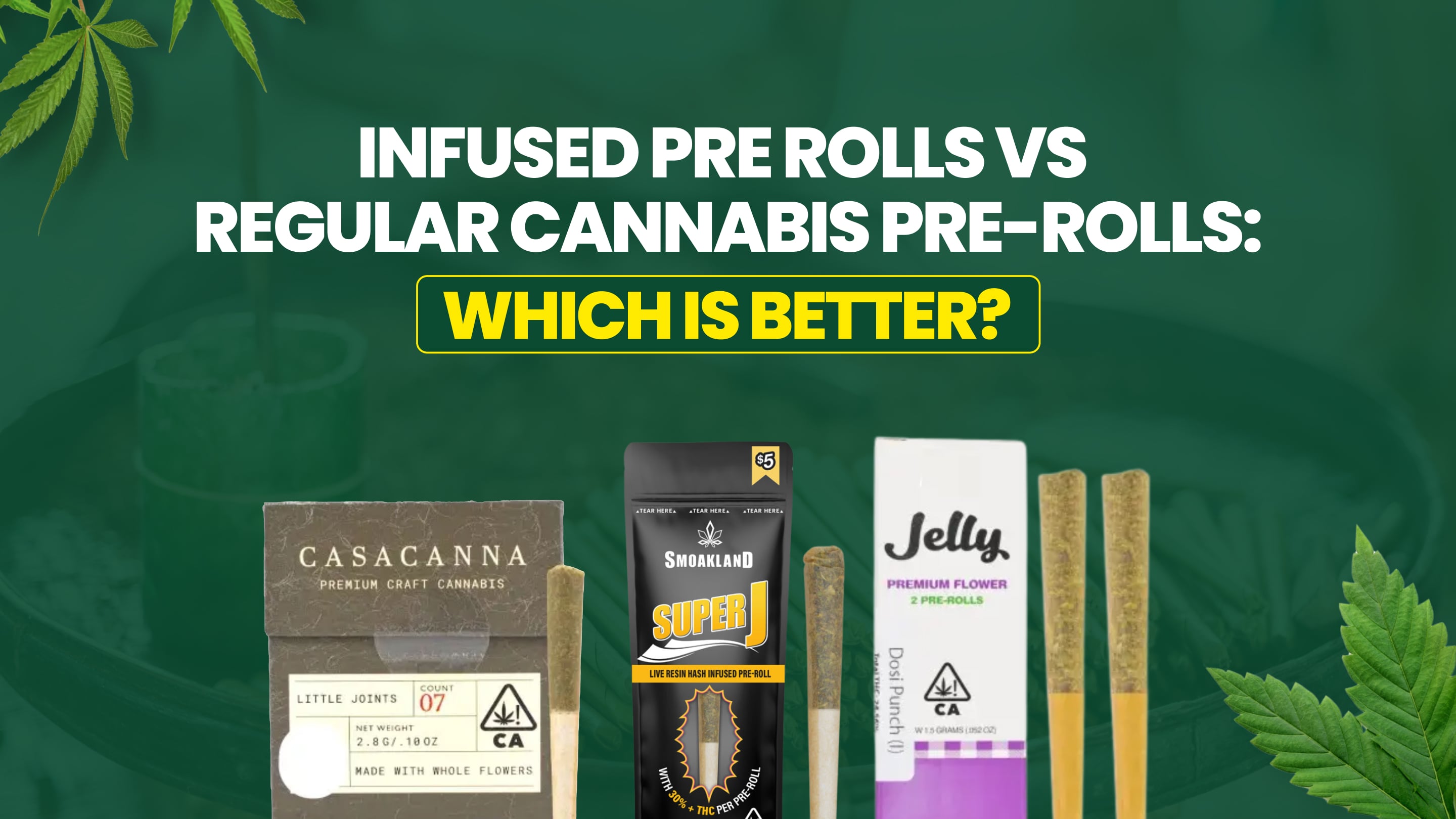 Infused Pre Rolls vs Regular Cannabis Pre-Rolls: Which Is Better?