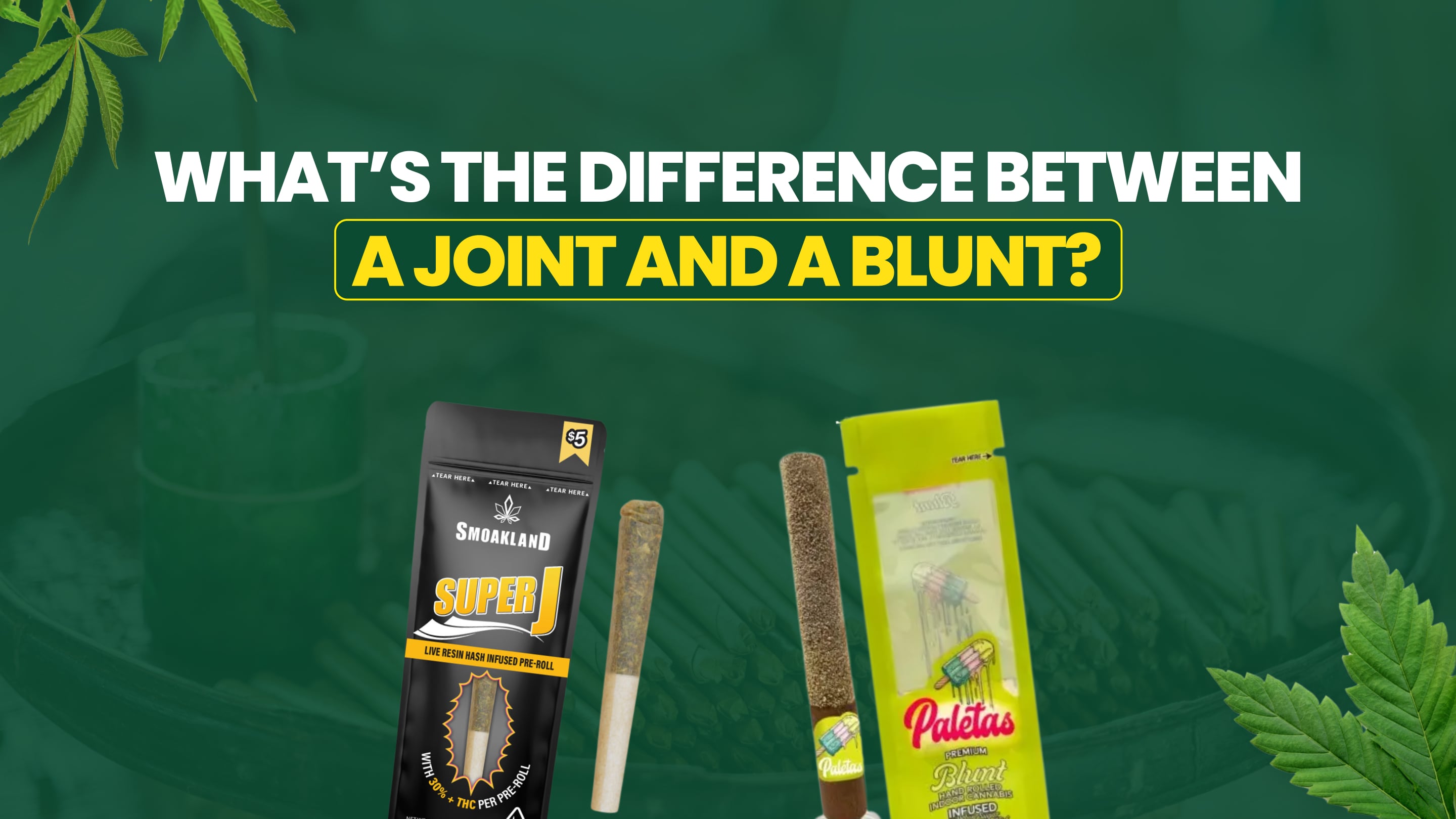 What's the Difference Between a Joint and a Blunt?