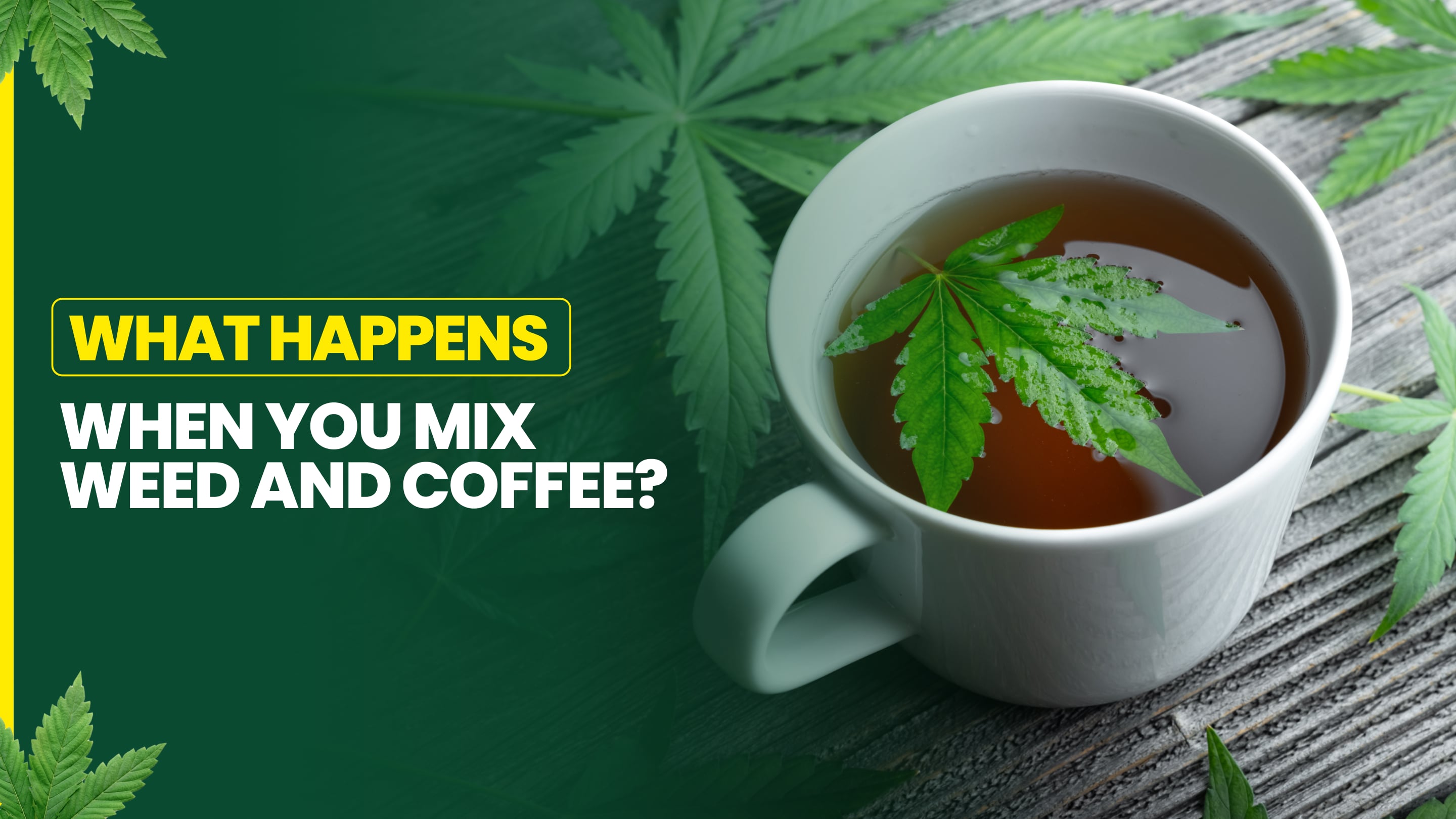 What Happens When You Mix Weed and Coffee?