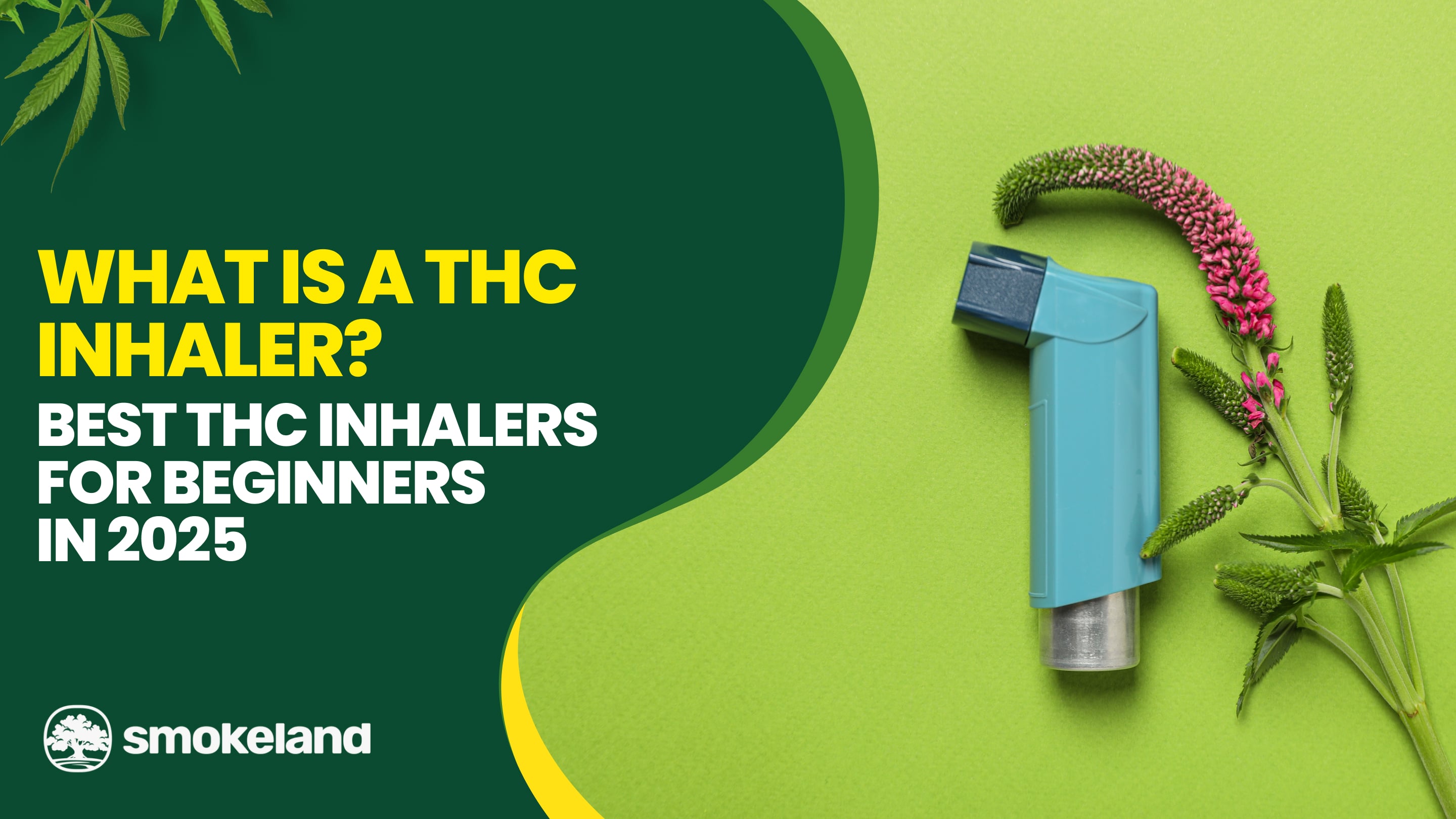 What Is a THC Inhaler | Best THC Inhaler for Beginners 2025