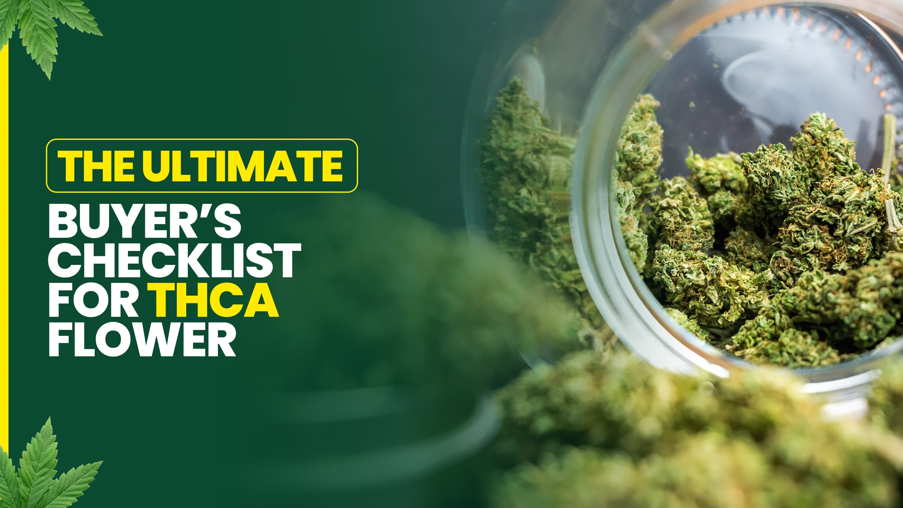 The Ultimate Buyer’s Checklist for THCA Flower