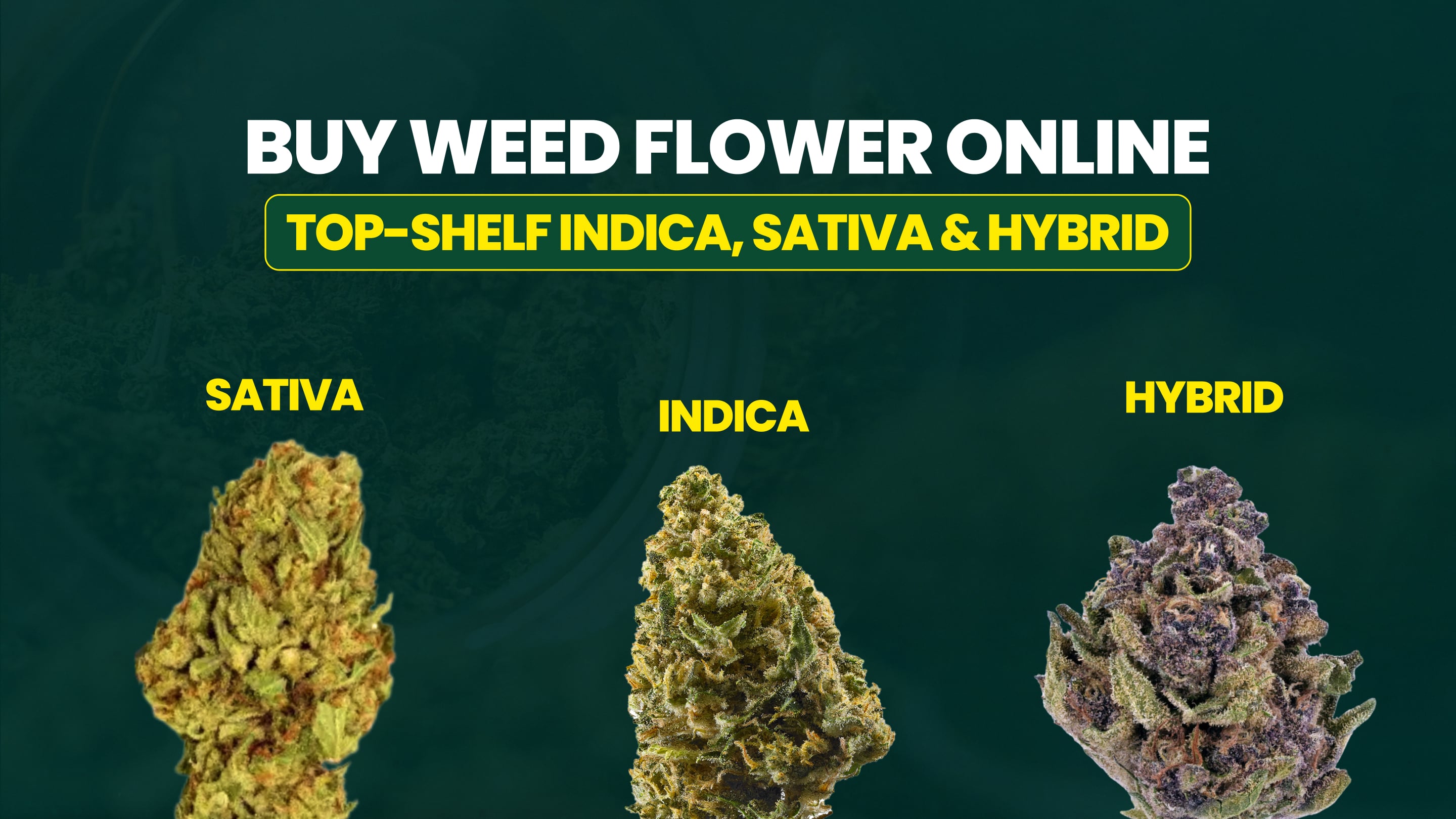 Buy Weed Flower Online | Top-Shelf Indica, Sativa & Hybrid