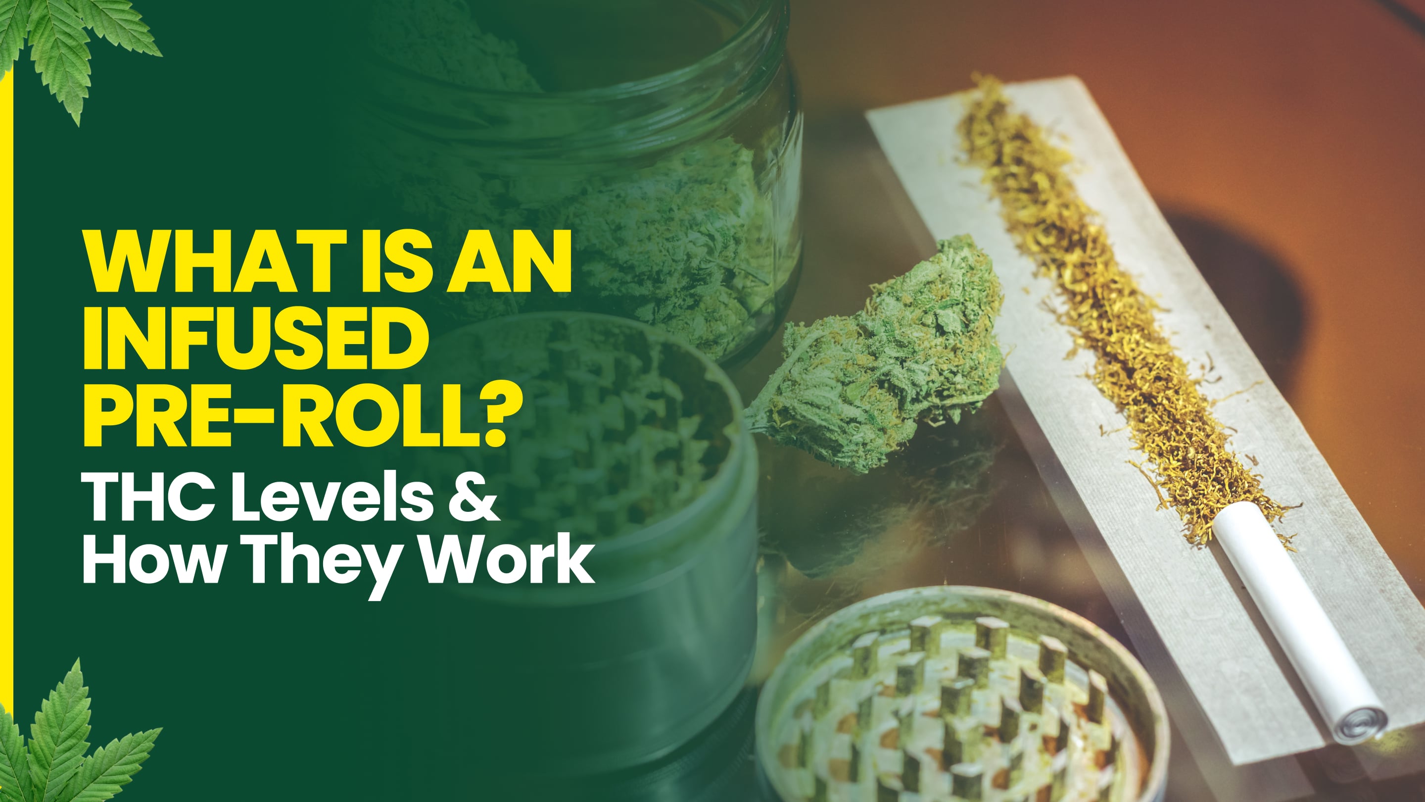 What Is an Infused Pre-Roll? THC Levels & How They Work