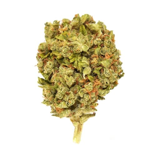 Xclusivez - Red Runtz (H) - 28g