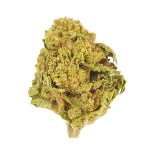 Lucy's  - Berry Pie (S) - 3.5g