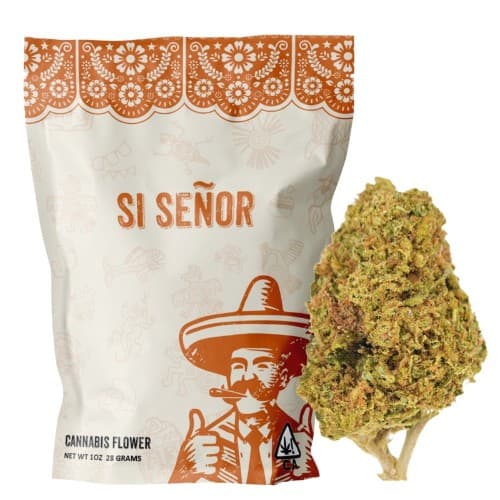 Si Señor - Mendo Purps (H) - 28g
