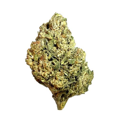 Exotix - Biscotti Sundae - 14g