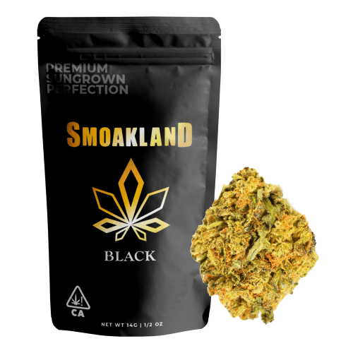 Black - Gelato 33 (H) - 14g