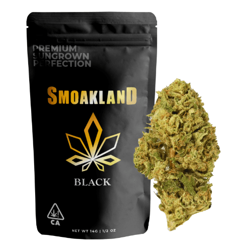 Black - Sideshow Glue (H) - 14g