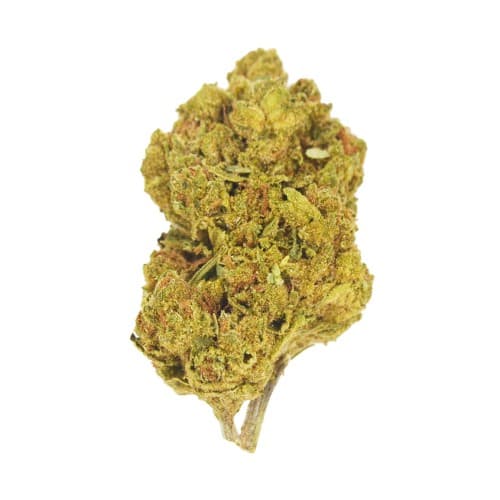 Lucy's - Blackberry Manstreak (H) - 28g