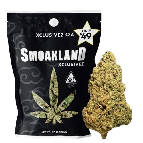 Xclusivez - Blue Dream (S) - 28g