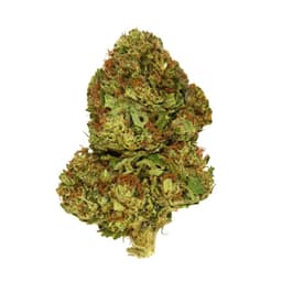 Blue Gelato (Hybrid) - 28g