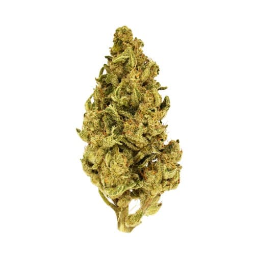 Xclusivez - Candy Kush (H) - 28g