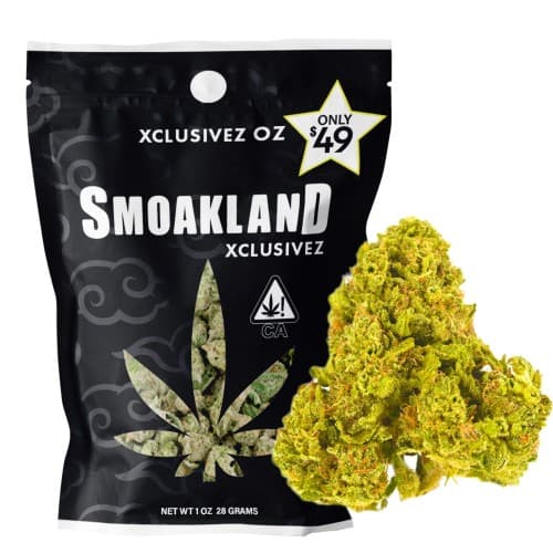 Xclusivez - Cherry OG Kush (H) - 28g