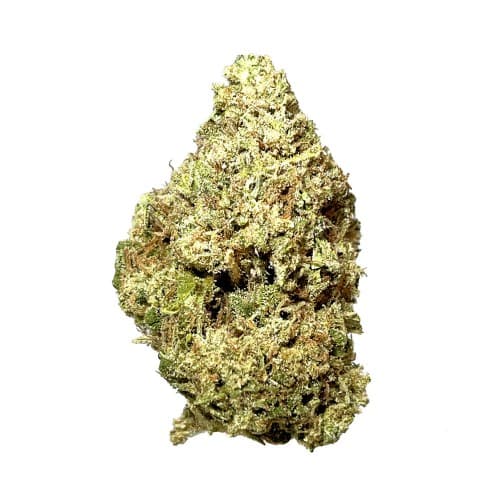 Black - Dirty Money (I) - 14g