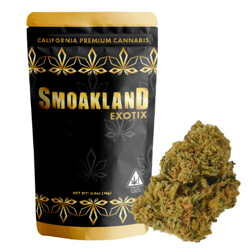 Exotix - Pumpkin Pie (H) - 14g