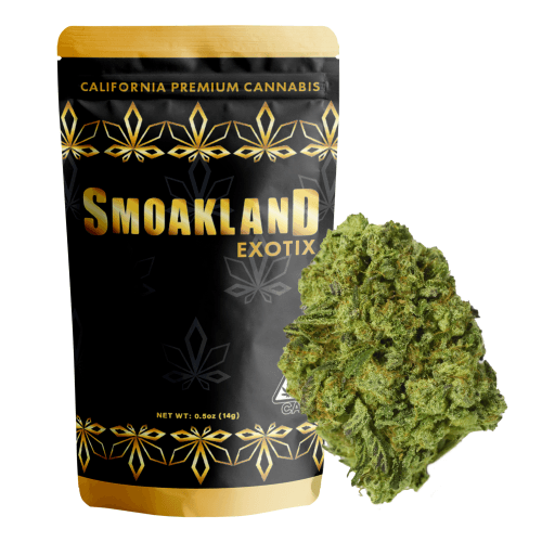 Exotix - Blue Dream (S) - 14g