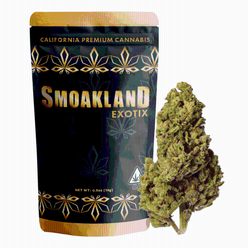 Exotix - Gorilla Mintz (H) - 14g