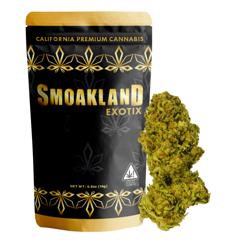 Exotix - Premium Jack Herer (S) - 14g