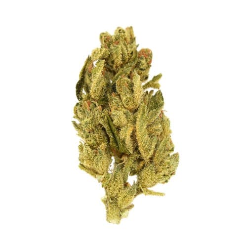 Xclusivez - Fog Dog (I) - 28g