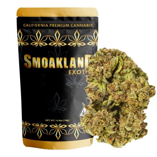 Exotix - Ice Cream Cake (I) - 14g