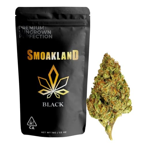 BLACK - GovernMint Oasis  - 14g