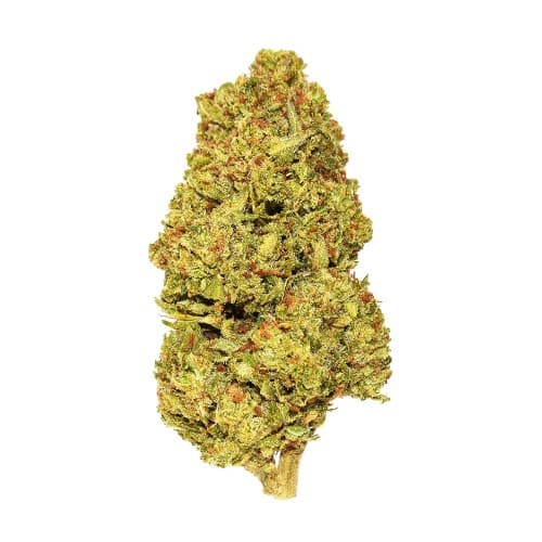 Xclusivez - Key Lime Pie - 28g