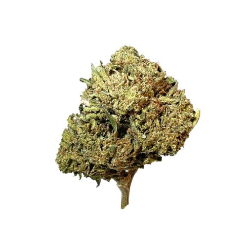 Xclusivez - Lemon Cherry Sherbet - 28g