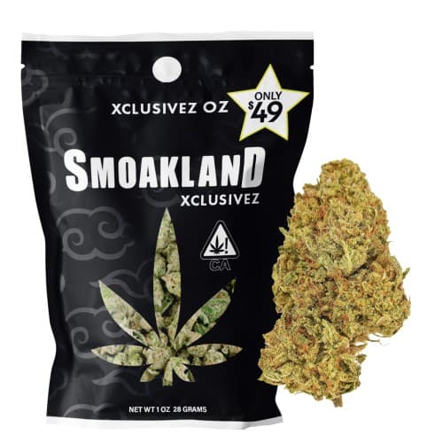 Xclusivez - Lemon Haze (S) - 28g